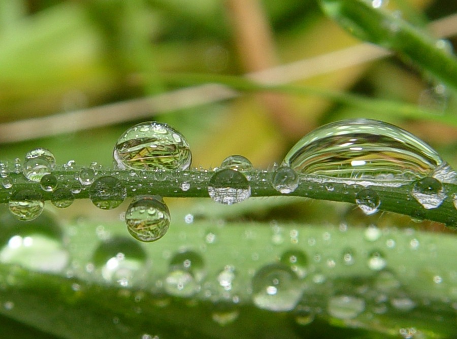 Träume aus Wasser