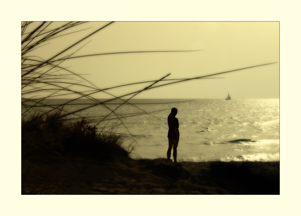 Träume von einem warmen Sommerabend am Meer... II