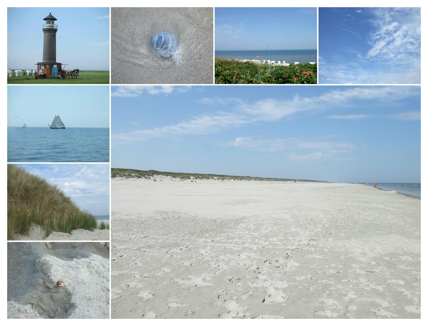 Träume von Sommer, Sand und Sonne...