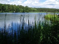 ... träumen am See