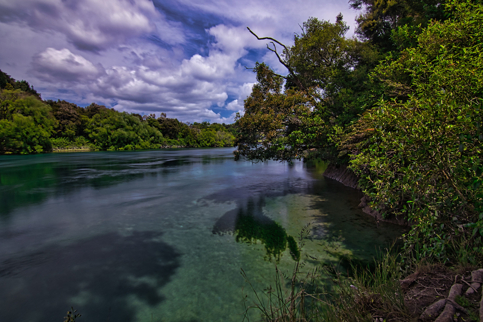 Träumen am Waikato