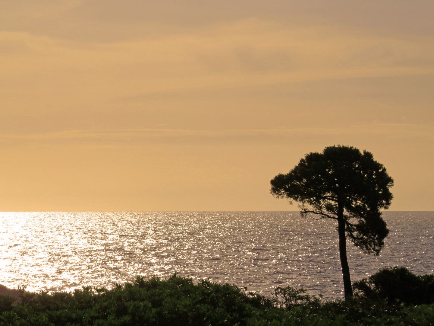 Träumen auf Mallorca