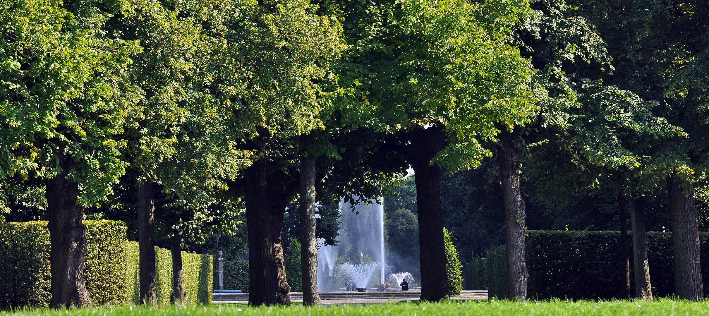 Träumen im Park