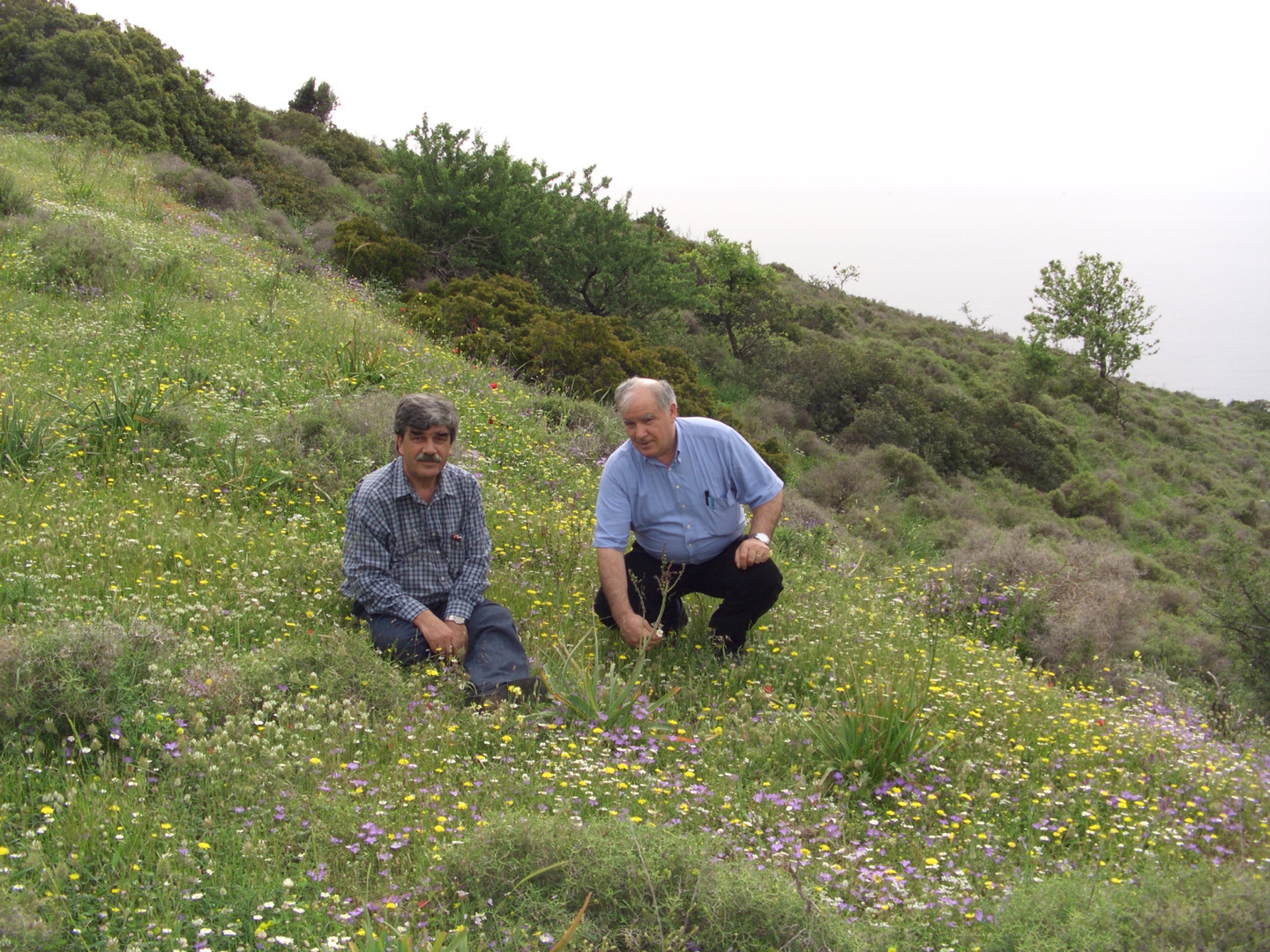 Träumen in Blüten und denken ,nur gute sahen mit meine bruder entspannen zwischen blühender natur