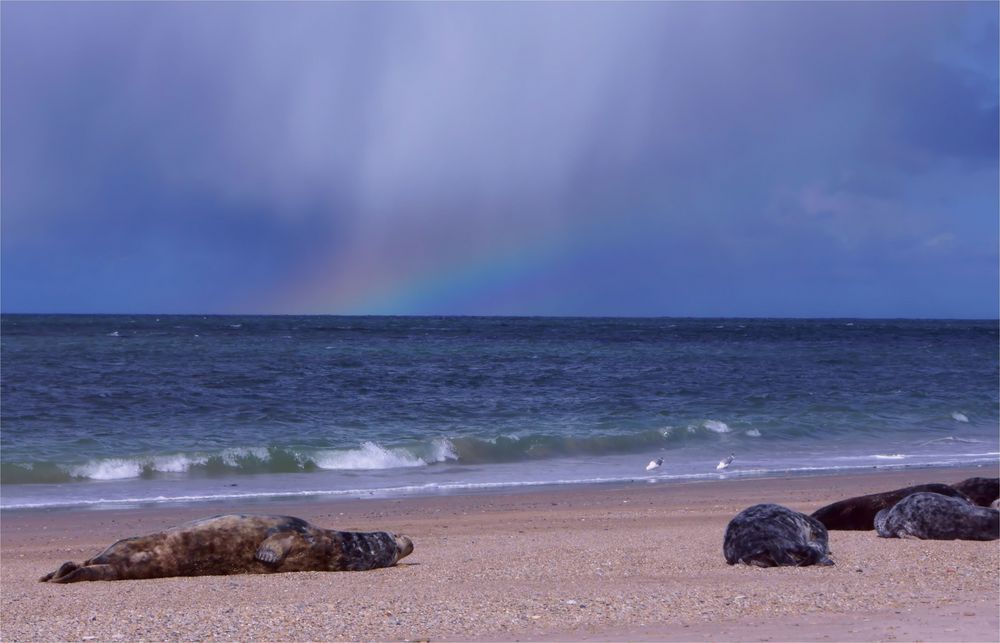 Träumen unter dem Regenbogen