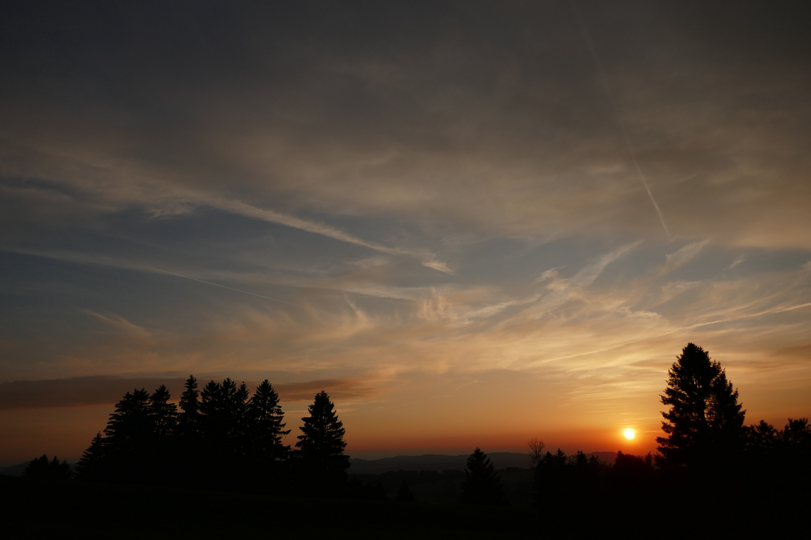 Träumend am Abend