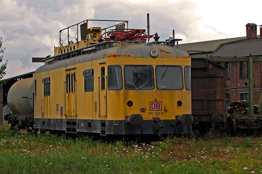 Träumend im Gras ...