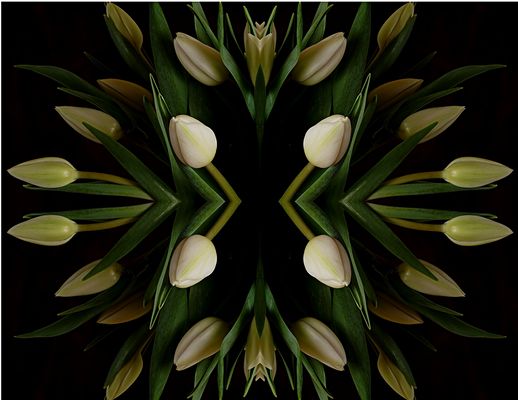 Träumende Geometrie 0002