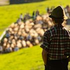 Träumer-Irgendwann treibe ich das Jungvieh ins Tal bei der Viehscheid!