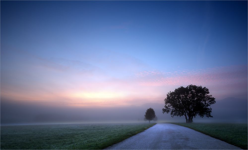 Träumerei am Morgen