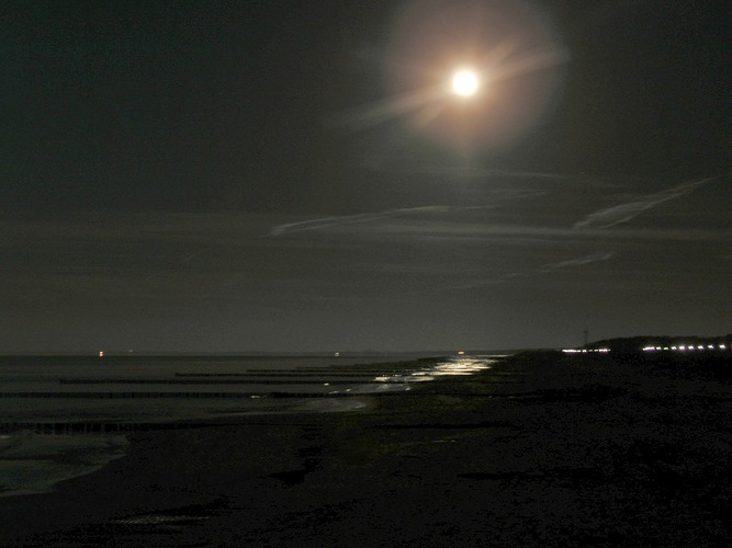 Träumerei am Ostseestrand