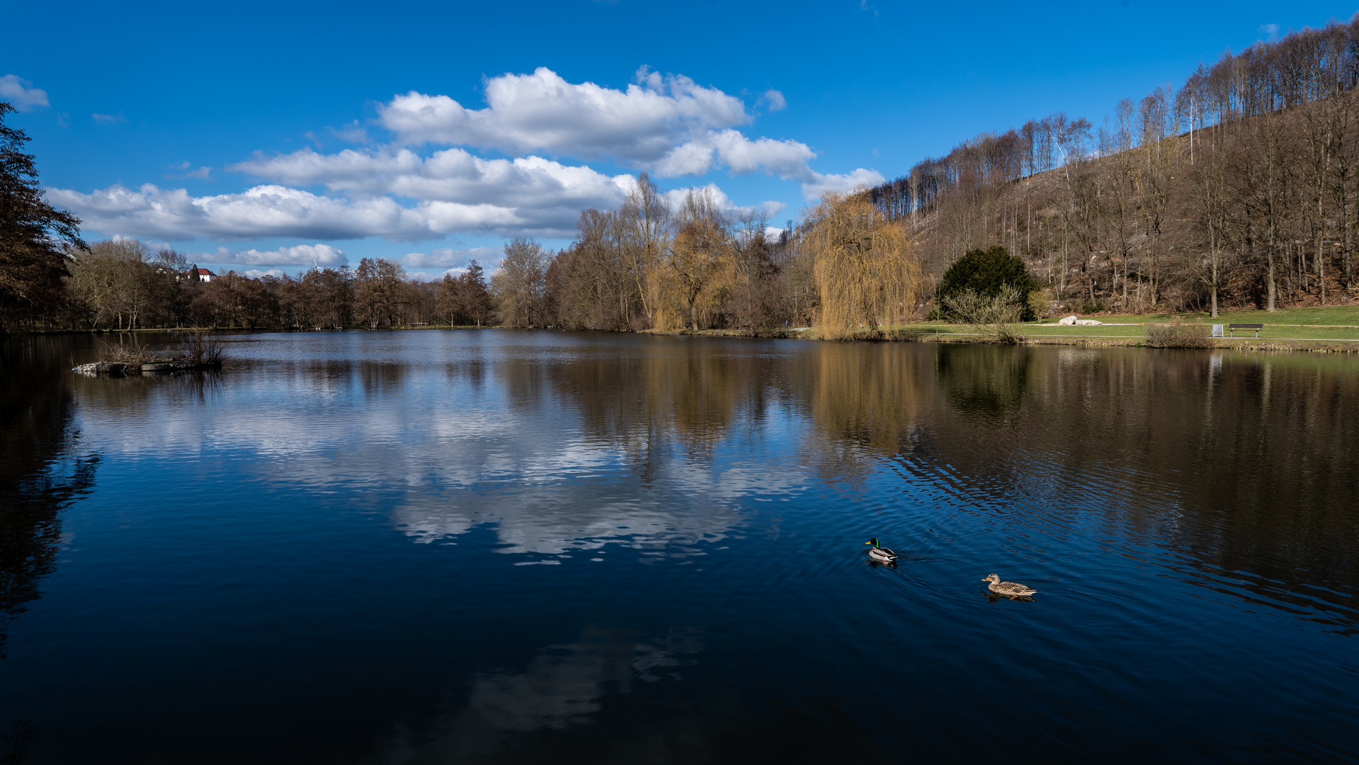 Träumerei am See