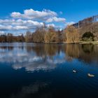 Träumerei am See