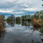 Träumerei am See mit Wasserspiegelungen