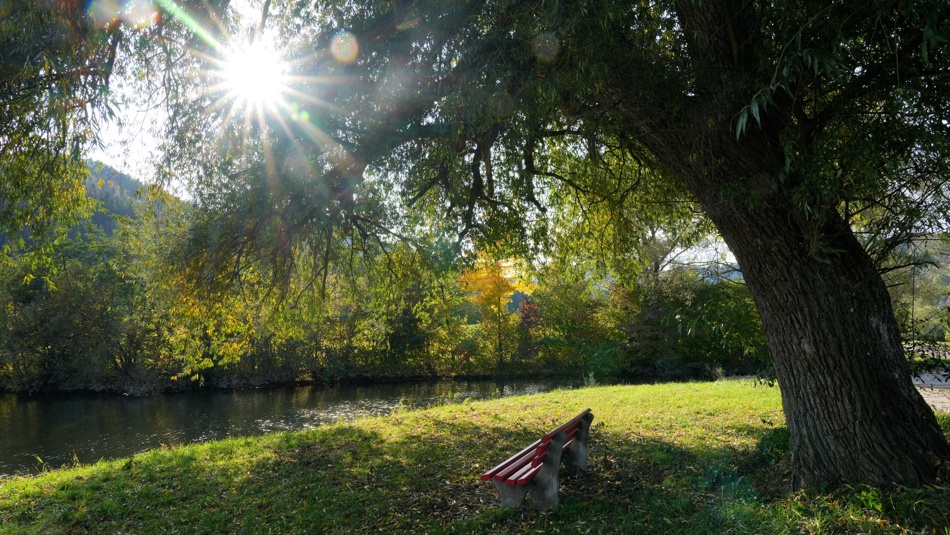 "Träumerei am Weiher"