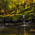 Träumerei im Herbst