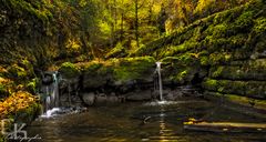 Träumerei im Herbst