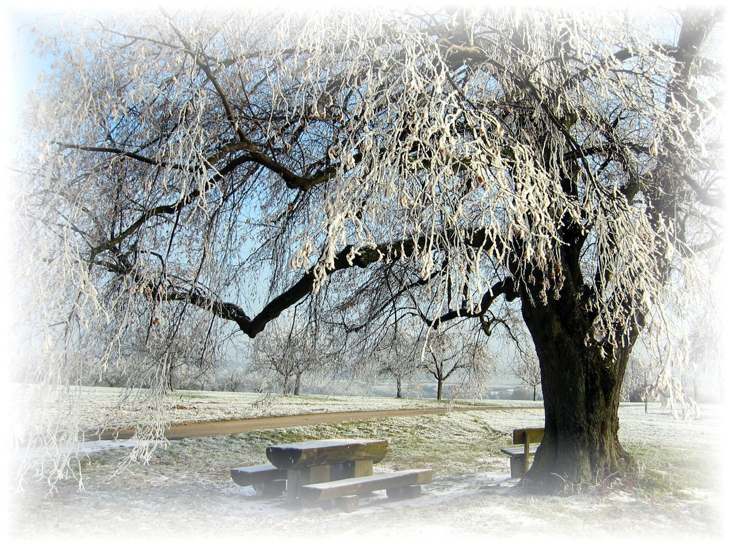 Träumerei im Winter