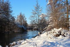 Träumerische Idylle 