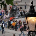 Trafalgar square