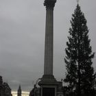 Trafalgar Square, Arbre de Noël et Big Ben