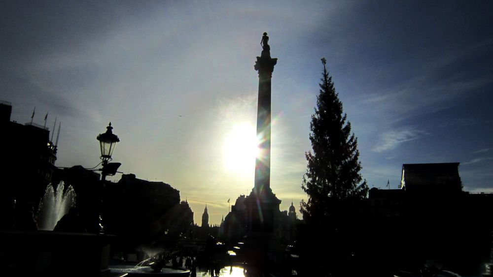 Trafalgar Square Christmas Tree