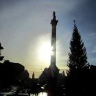 Trafalgar Square Christmas Tree