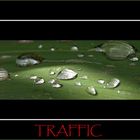 *TRAFFIC*