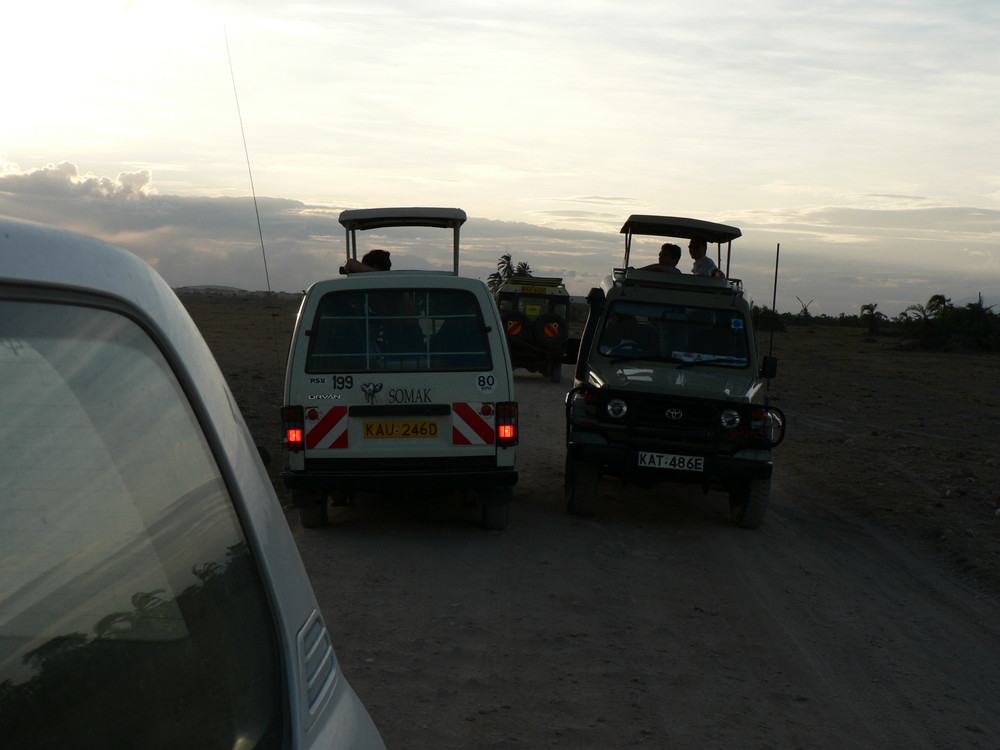 Traffic jam in Amboseli National park