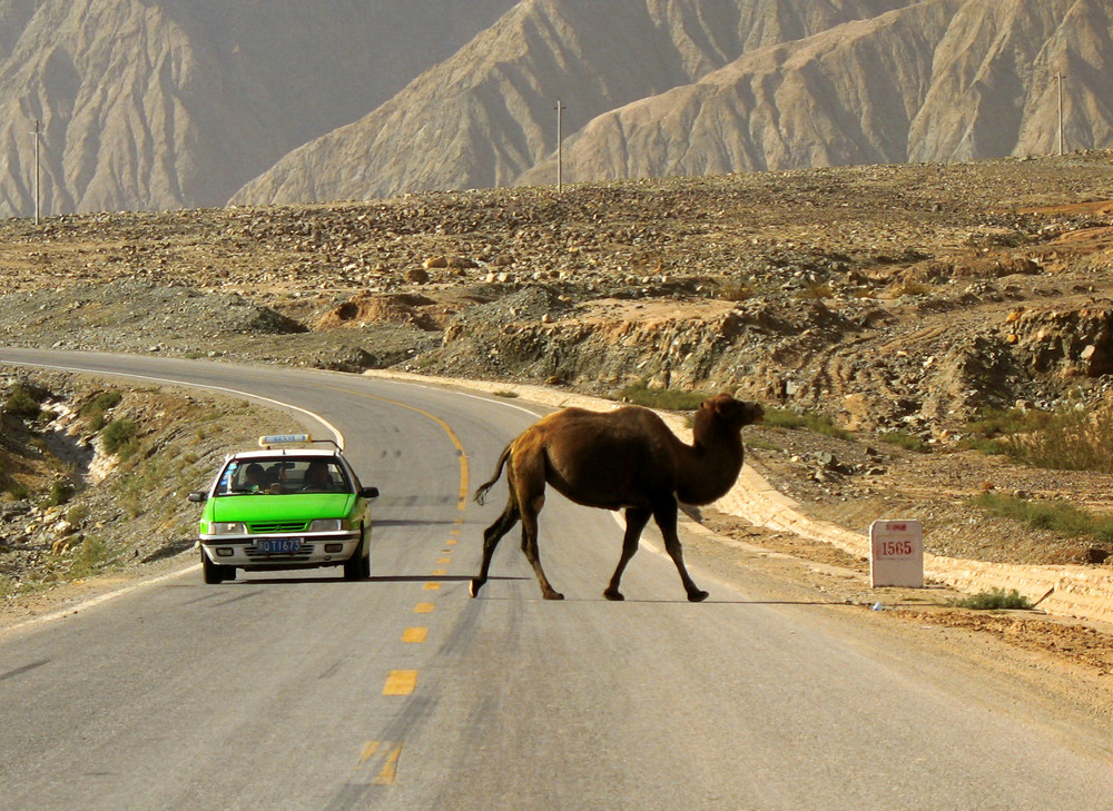 TRAFFIC (Karakorum Highway, China)