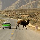 TRAFFIC (Karakorum Highway, China)