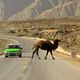 TRAFFIC (Karakorum Highway, China)