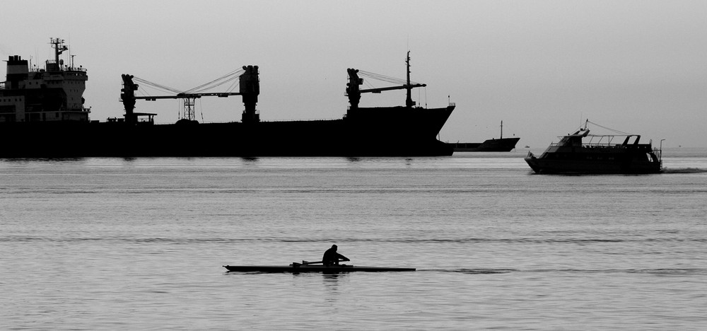 Traffico sul golfo di Trieste