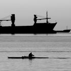 Traffico sul golfo di Trieste