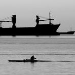 Traffico sul golfo di Trieste