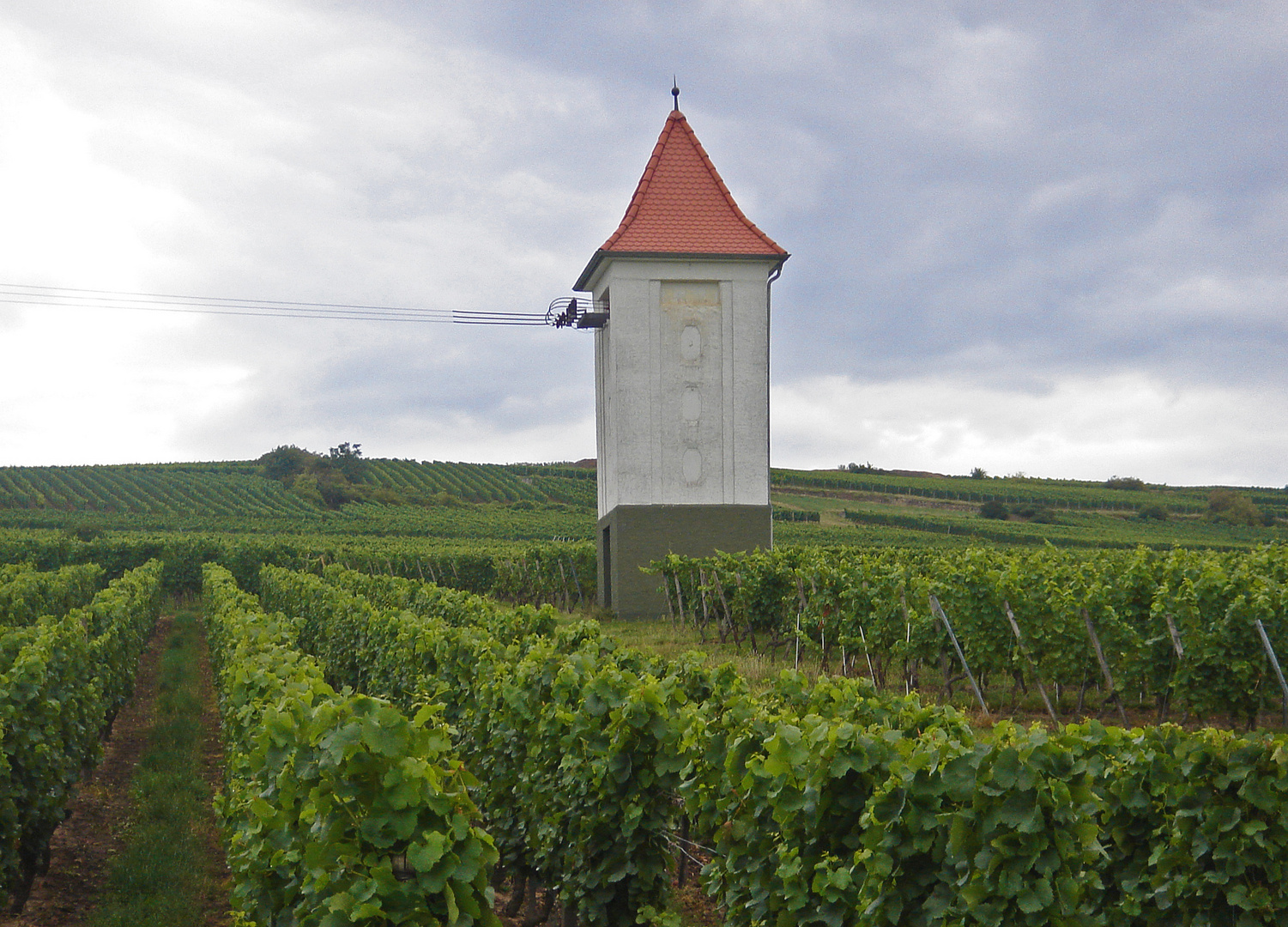 Trafostation - der Strom aus dem Weinberg