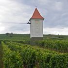 Trafostation - der Strom aus dem Weinberg