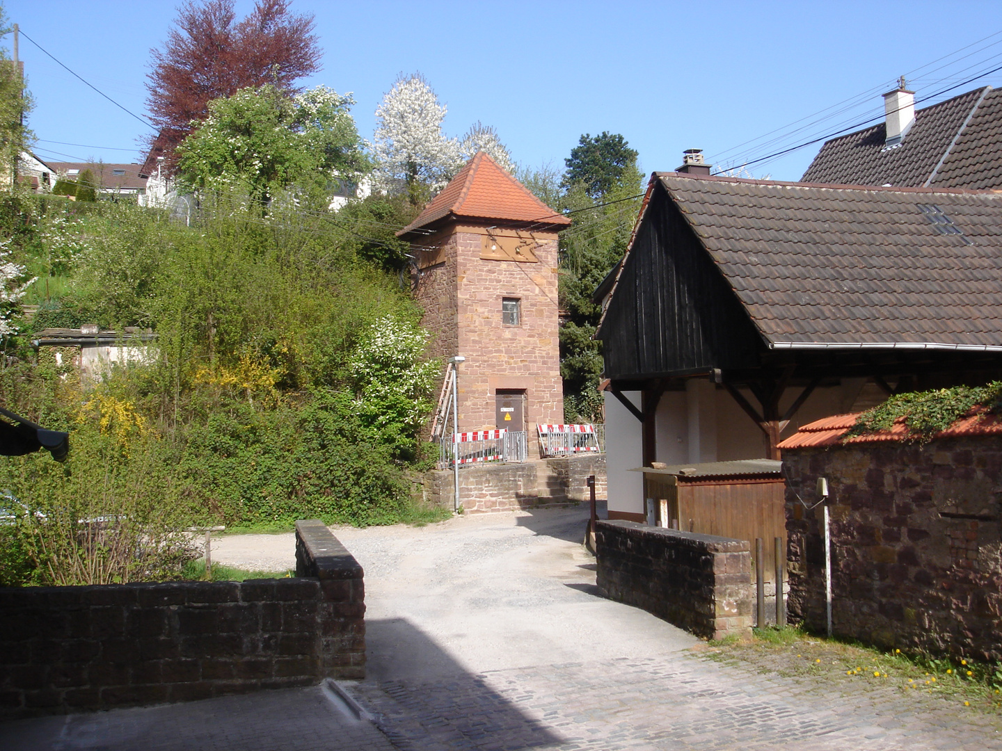 Trafostation - Frühlingsblüte im Hinterhof