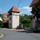 Trafostation - Kastanienblüte in Badisch-Sibirien