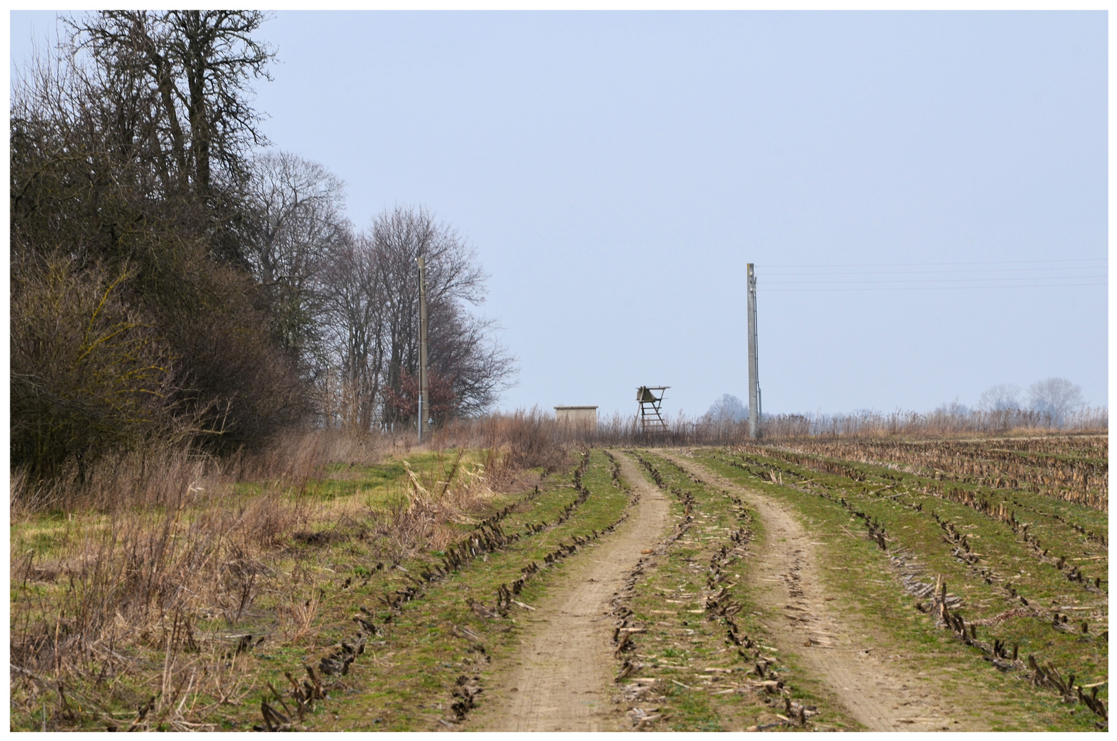 Trafostation neben Hochsitz