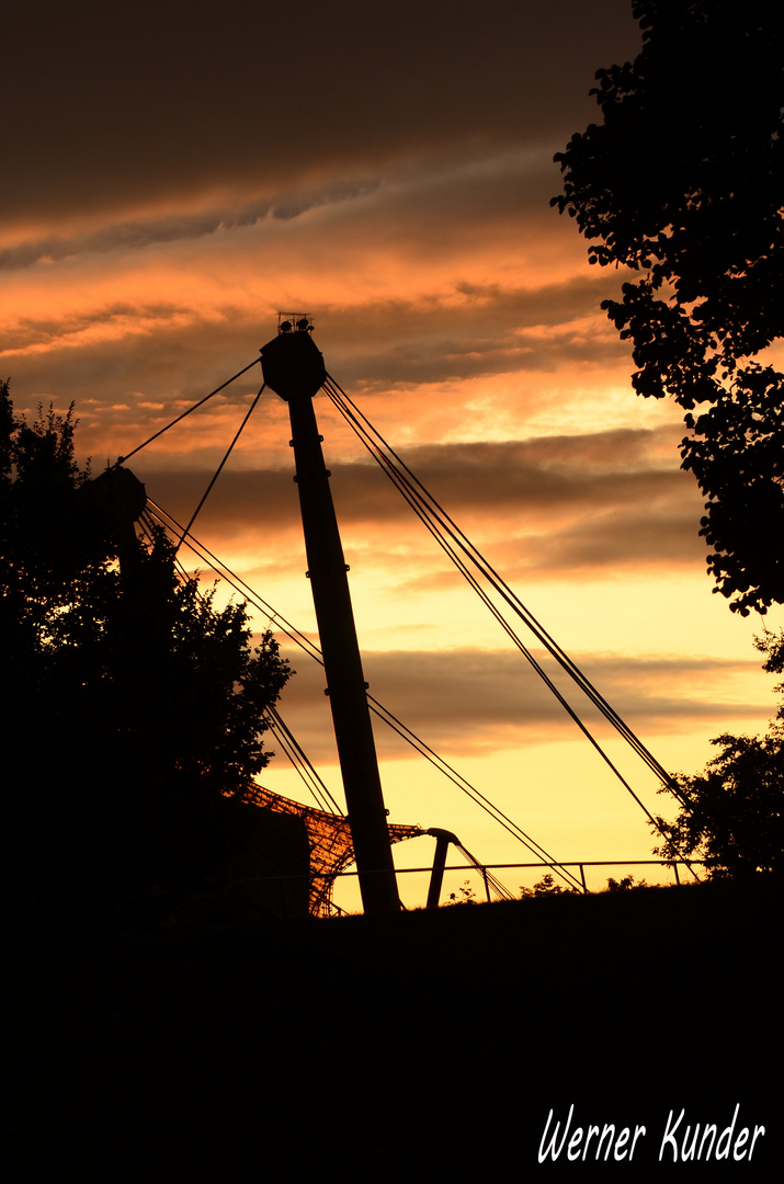 Tragend im Sonnenuntergang