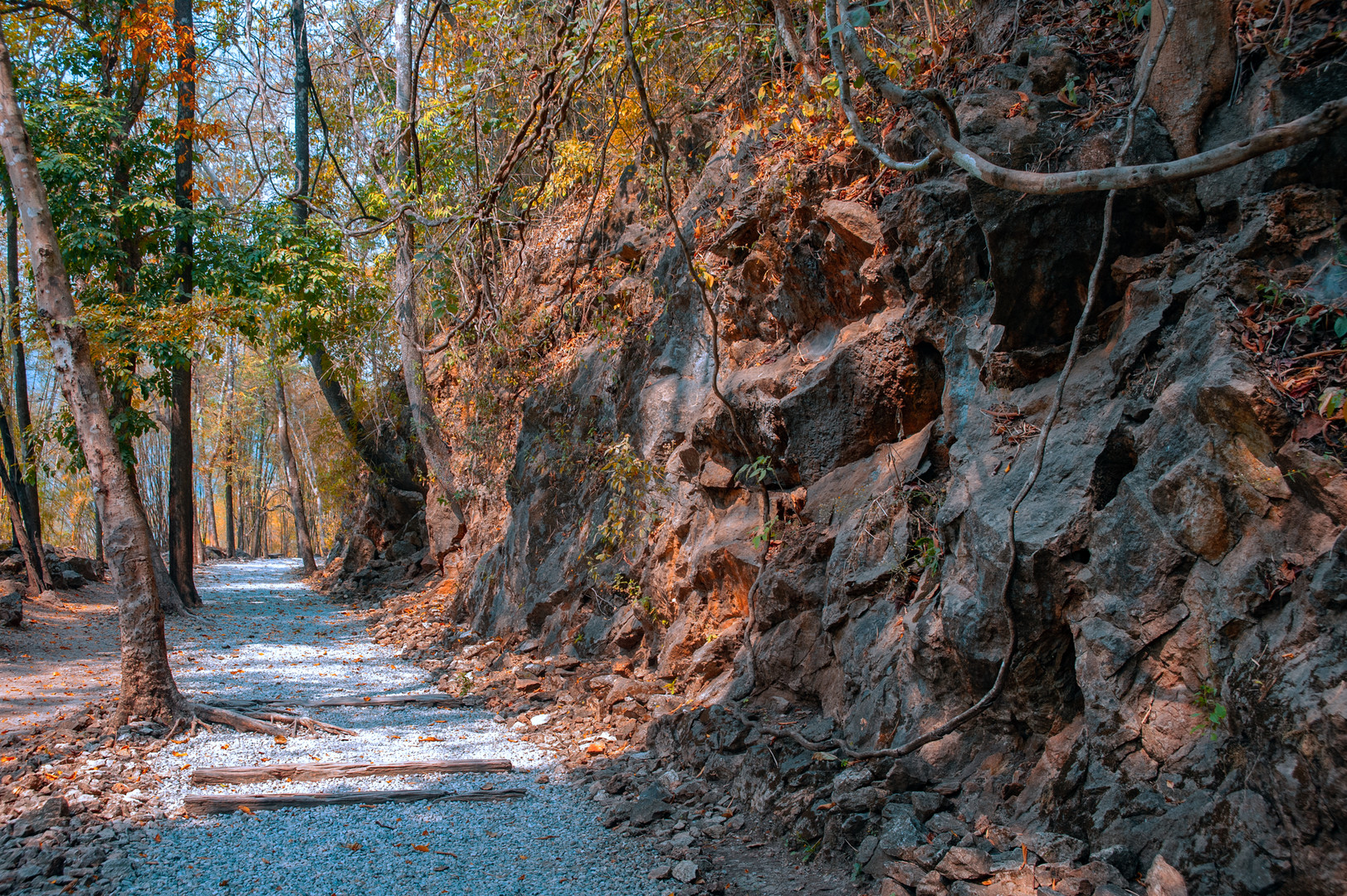 Trail along the railway track