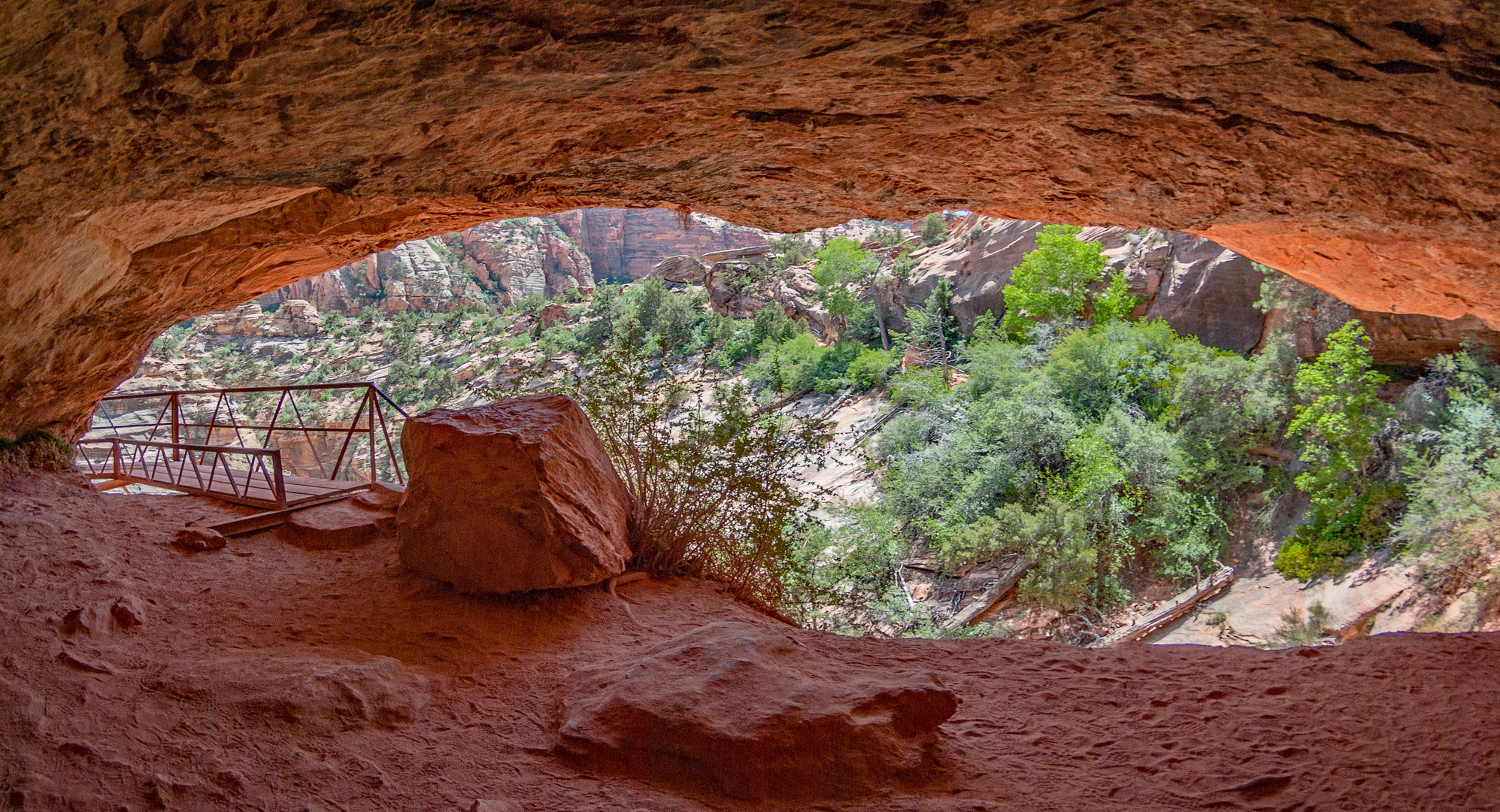 Trail im Zion N.P.