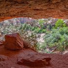 Trail im Zion N.P.