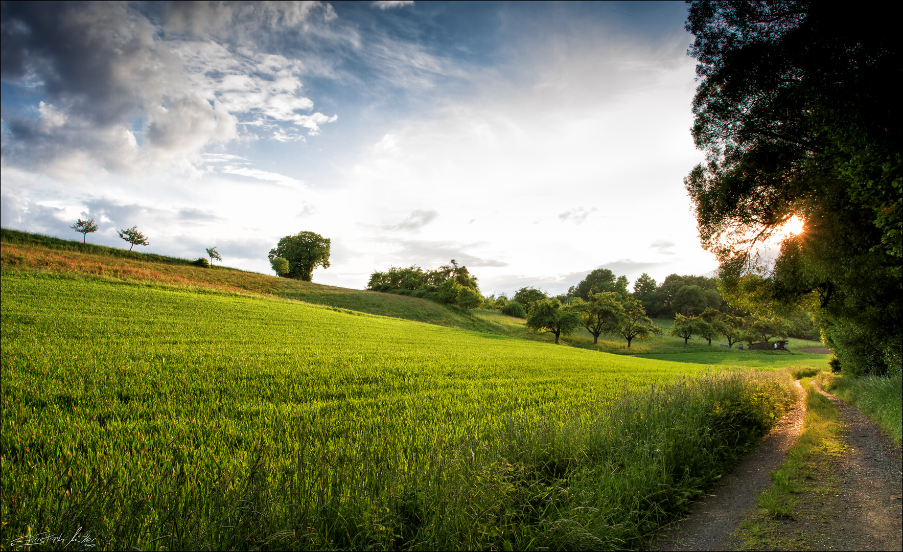 Trail in the Sun