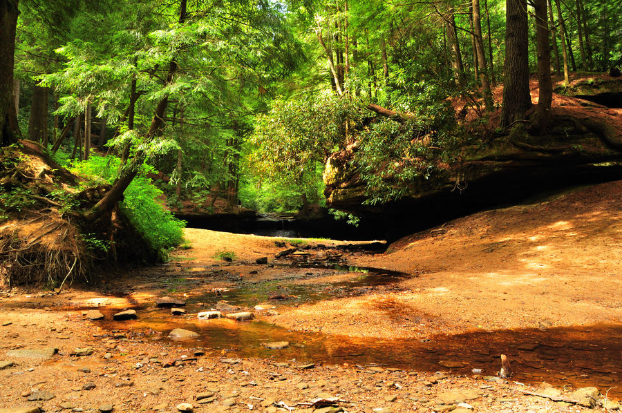 trail view