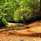 trail view