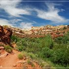 Trail zu den Lower Calf Creek Falls