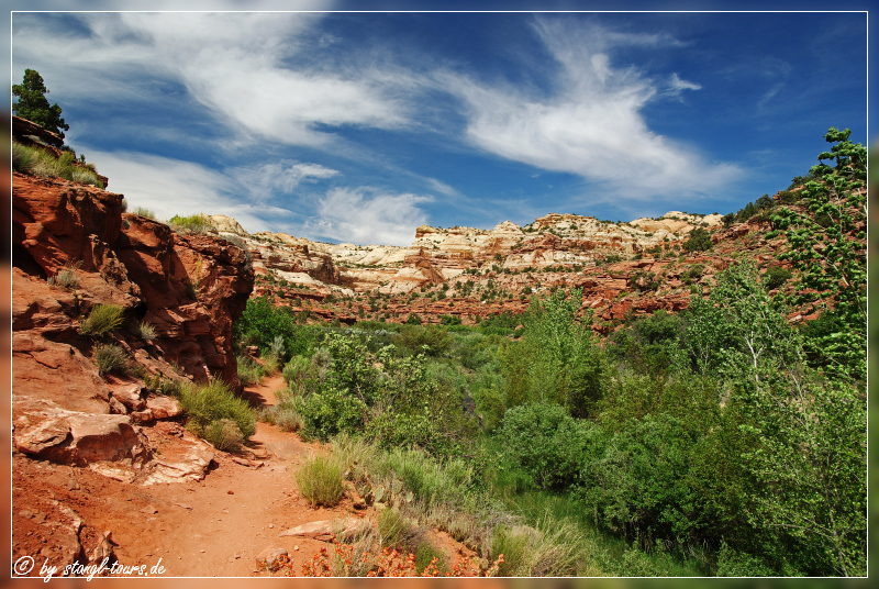 Trail zu den Lower Calf Creek Falls