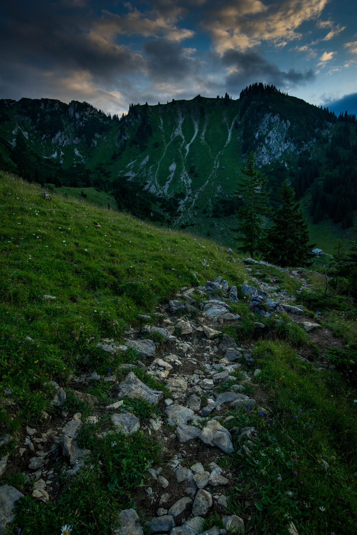 Trail zur Brecherspitze